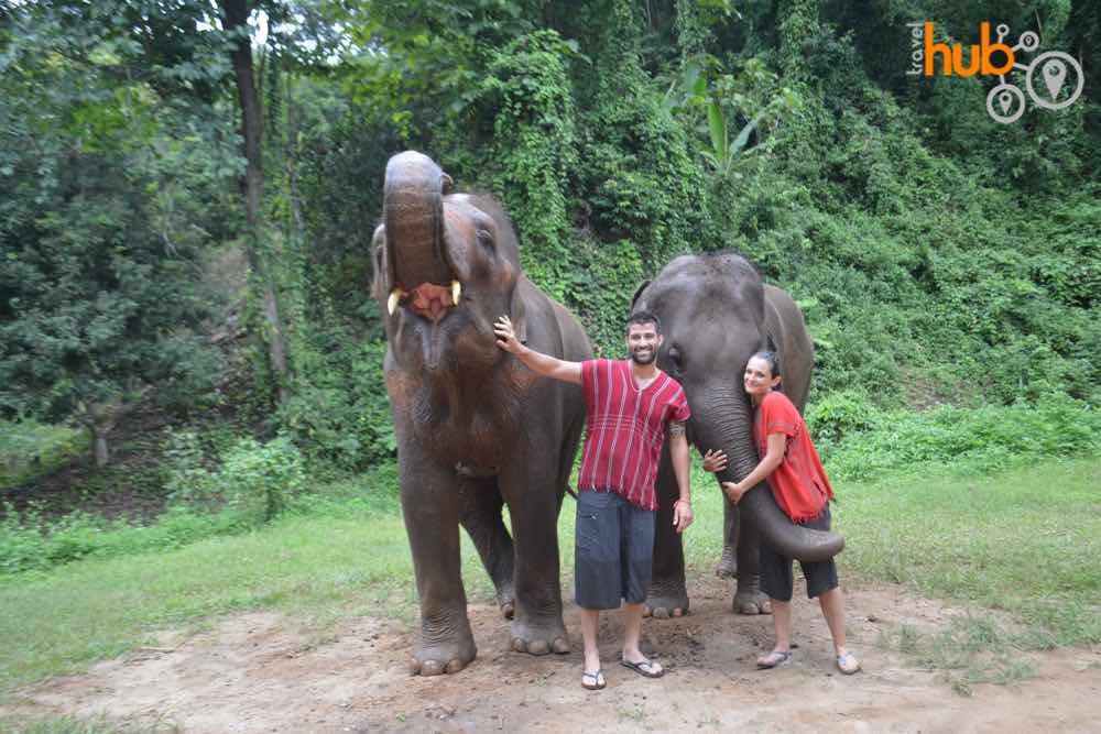 Spend some time with the elephants