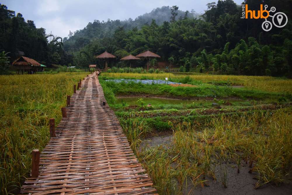 The hill tribe exhibition village at Baan Tong Luang