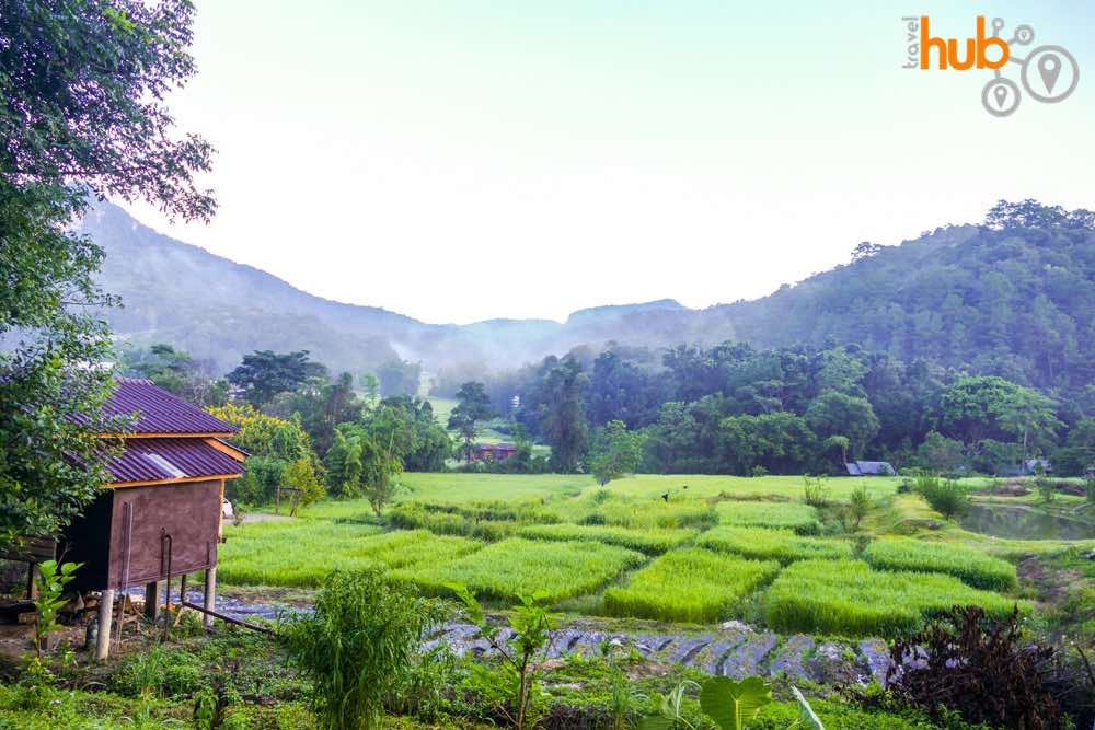 Views over the rice paddies Mae Klang Luang village Doi Inthanon