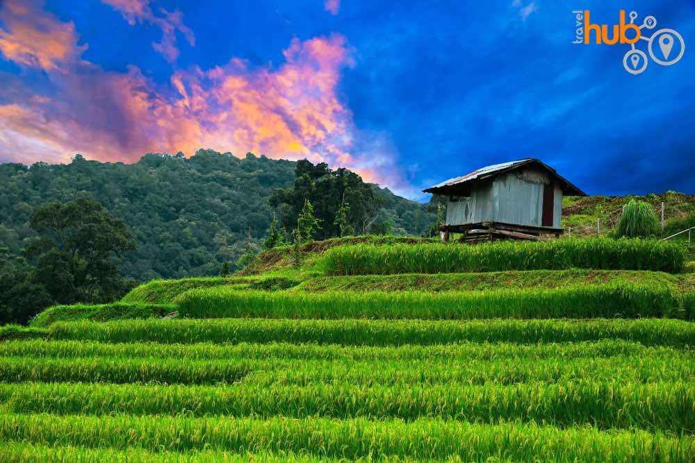 Rice terraces around Mae Klang Luang village