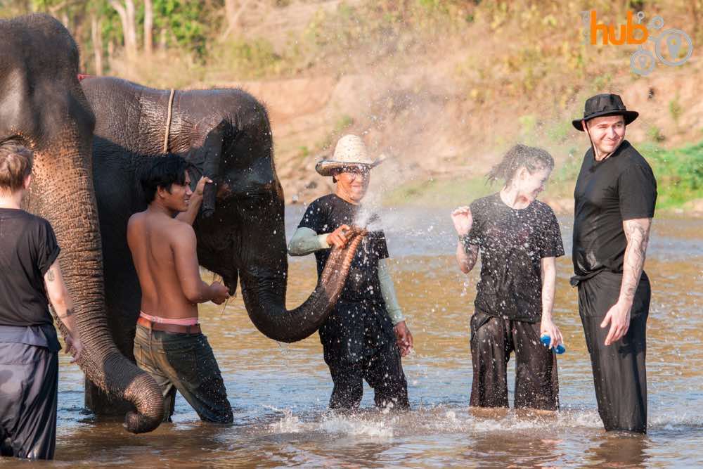 You will spend a couple of hours with the elephants