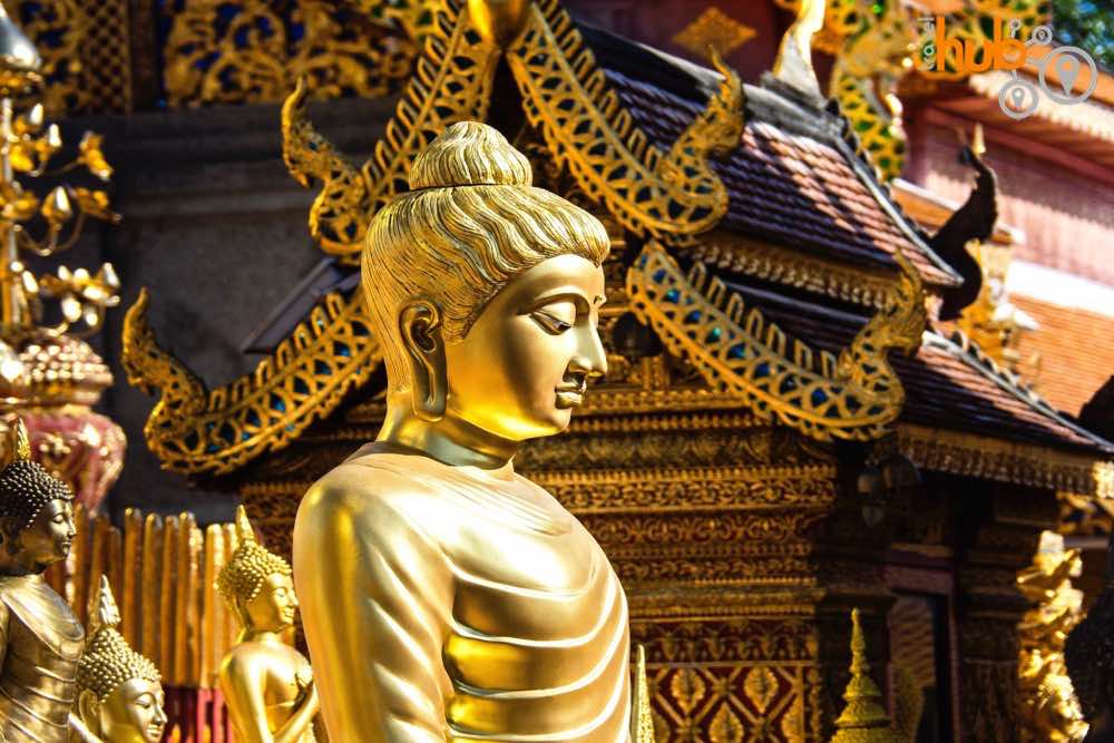 You will visit Doi Suthep on this comprehensive 5 day package