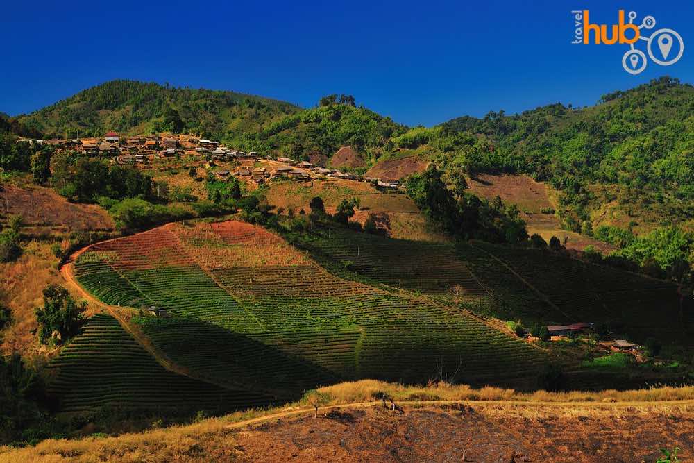 The hills and Mountains around the town of Doi Mae Salong