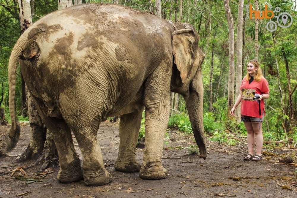 Plenty of up close photo opportunities can be hadat The Elephant Jungle Sanctuary