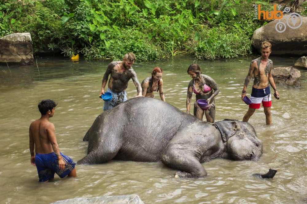 One of the elephants favourite activities 