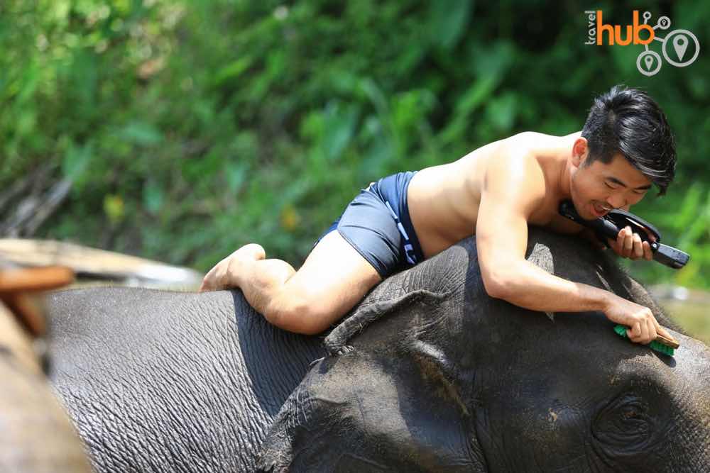 At Patara you will spend a whole day with some very content elephants