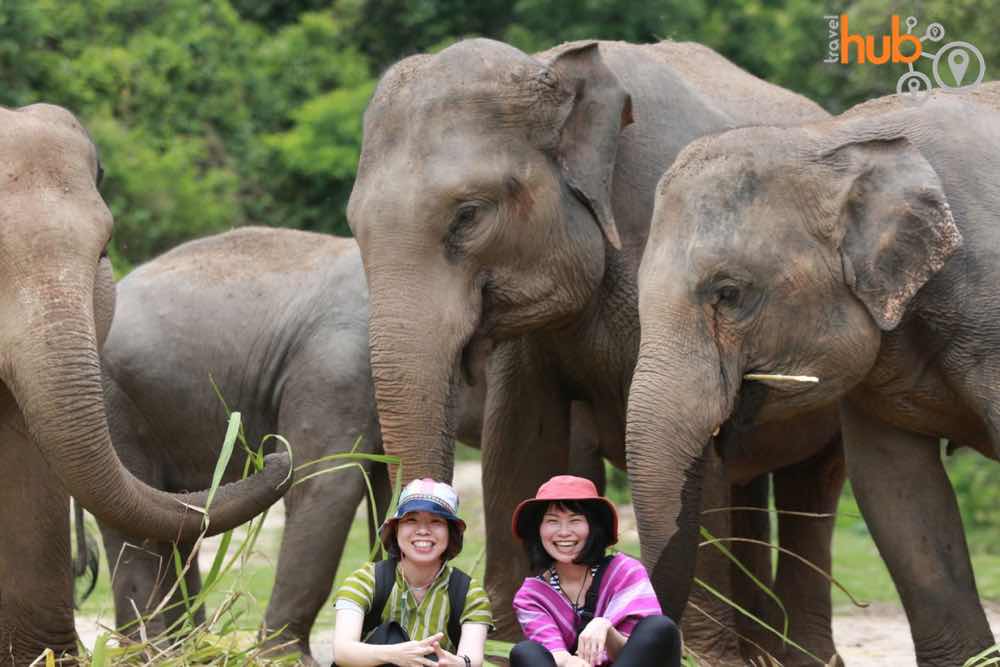 There are not many places in the world where you can get photos with happy elephants like this.
