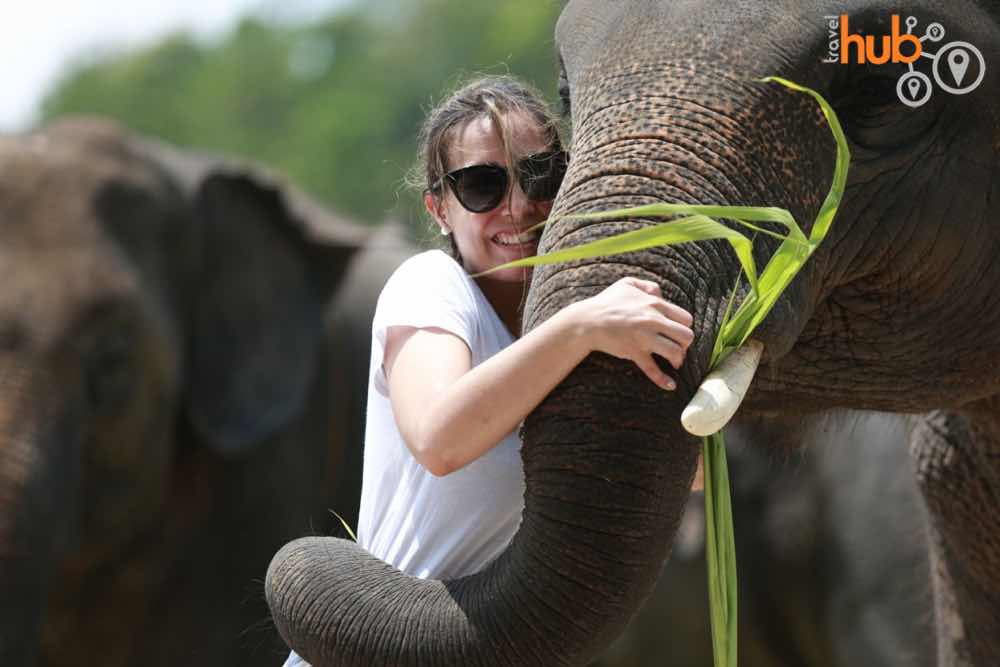 You will get very close to the elephants at Patara Elephant Farm