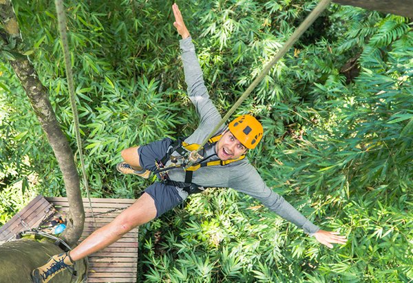 Flight of the Gibbon