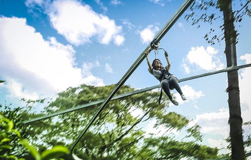 Jungle Flight zip line