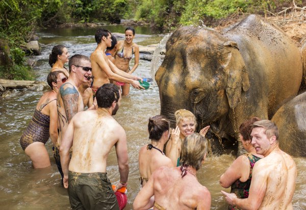 Elephant bathing Chiang Mai