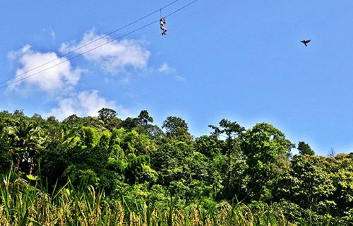 Eagle Track zip line