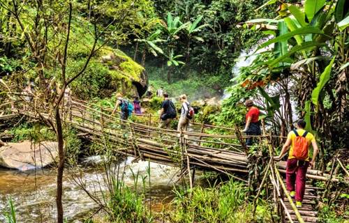 One day Chiang Mai jungle trekking